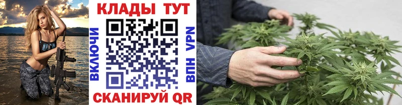 Где продают наркотики Отрадное Каннабис  Альфа ПВП  Меф мяу мяу  COCAIN 