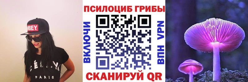 ссылка на мегу зеркало  Отрадное  маркетплейс какой сайт  как найти наркотики  Галлюциногенные грибы MAGIC MUSHROOMS 